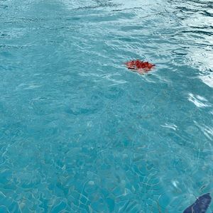 Meet your Posher, Duy